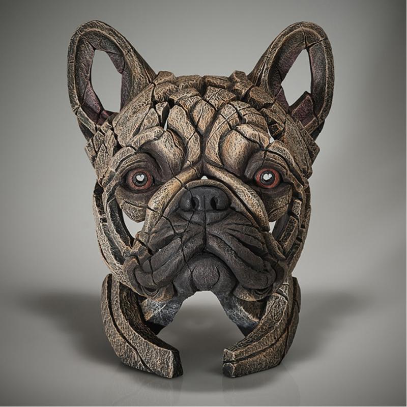 French Bulldog - Fawn